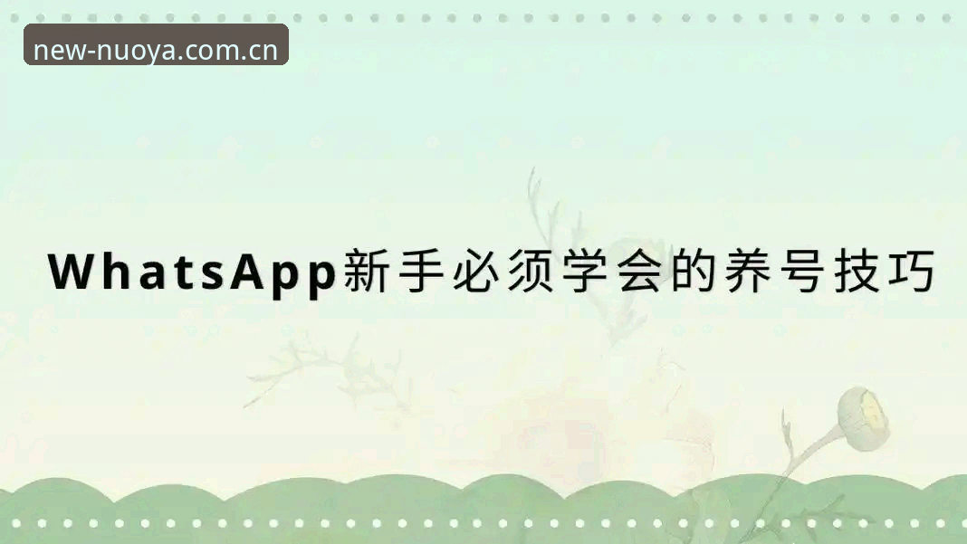 海外华人必备：诺亚主场新界面APP安装包实用获取技巧